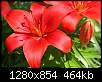 برای دیدن سایز بزرگ روی عکس کلیک کنید

نام:  Lilies-1.jpg
مشاهده: 544
حجم:  463.5 کیلوبایت