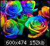 برای دیدن سایز بزرگ روی عکس کلیک کنید

نام:  colored-rose.jpg
مشاهده: 216
حجم:  151.6 کیلوبایت