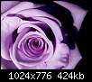 برای دیدن سایز بزرگ روی عکس کلیک کنید

نام:  Lavender_rose.jpg
مشاهده: 118
حجم:  424.0 کیلوبایت