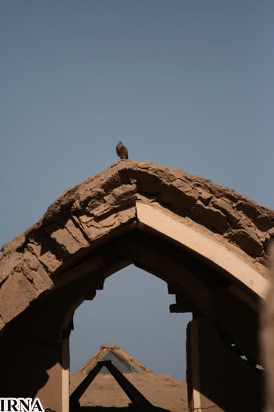 بازسازی ارگ بم(تصویری)