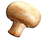 خورش قارچ خورش قارچ