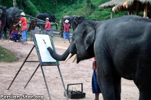 هنرمندی كه تا بحال آثارش منتشر نشده ! (( عکس )) حتمأ ببین