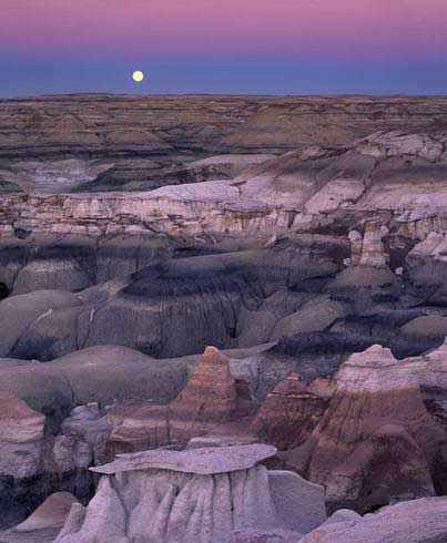 10 تصویر از بهترین تصاویر دنیای وحش (فوق العاده زیبا ) 10 تصویر از بهترین تصاویر دنیای وحش (فوق العاده زیبا )