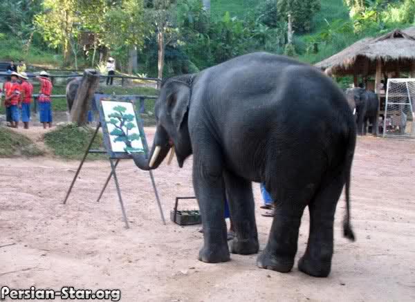 هنرمندی كه تا بحال آثارش منتشر نشده ! (( عکس )) حتمأ ببین
