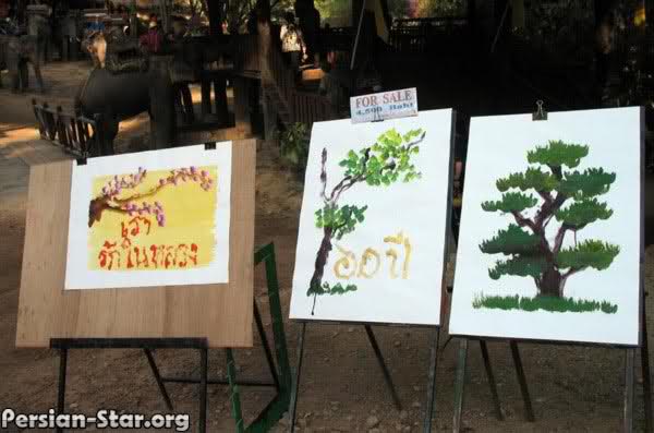 هنرمندی كه تا بحال آثارش منتشر نشده ! (( عکس )) حتمأ ببین