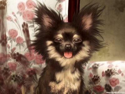 حیوانات با نمک