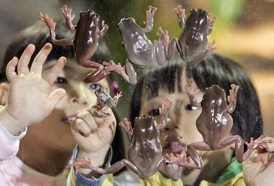 تصاویر بسیار زیبا از حیوانات