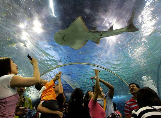 تصاویر بسیار زیبا از حیوانات