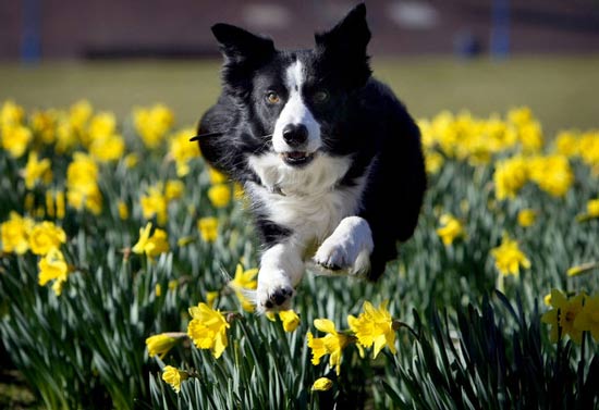 تصاویر بسیار زیبا از حیوانات