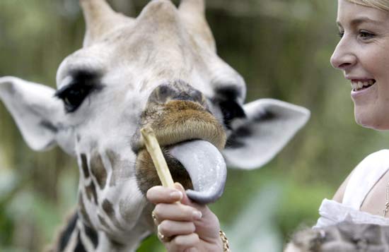 تصاویر بسیار زیبا از حیوانات