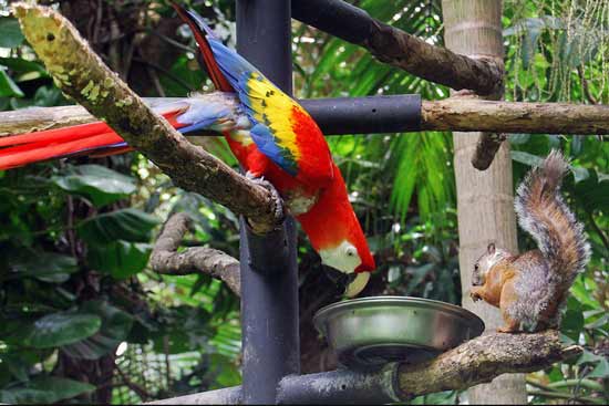 تصاویر بسیار زیبا از حیوانات