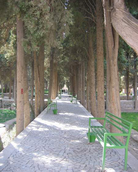 تصاويري ديدني از فين کاشان