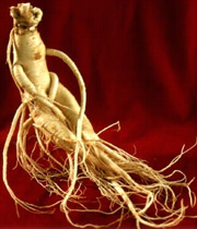 جینسینگ و خواص آن