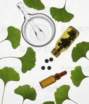 گیاه دارویی جینگو بیلوبا  (Ginkgo Biloba)