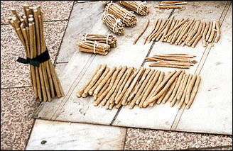 آشنایی با خواص درخت مسواک