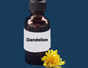 گياه قاصدک براي درمان سنگ کليه و کيسه صفرا