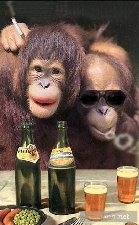 مدل های خنده دار از حیوانات