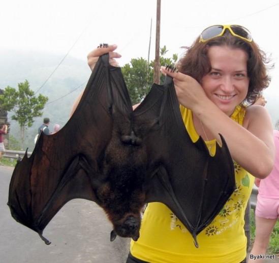 مدل های خنده دار از حیوانات