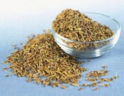 تخم‌ شوید، موثر در کاهش خونریزی پس از زایمان