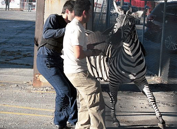 عکسهای جالب و دیدنی روز