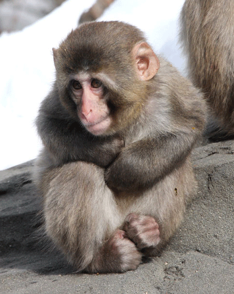 عکسهای جالب و دیدنی روز