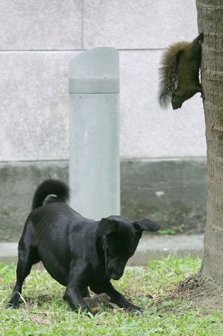 عکس:مادر، مادر است!