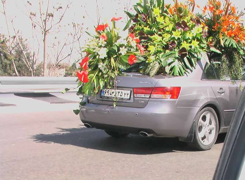 ماشین عروس فقط دو تا درخت كم داره