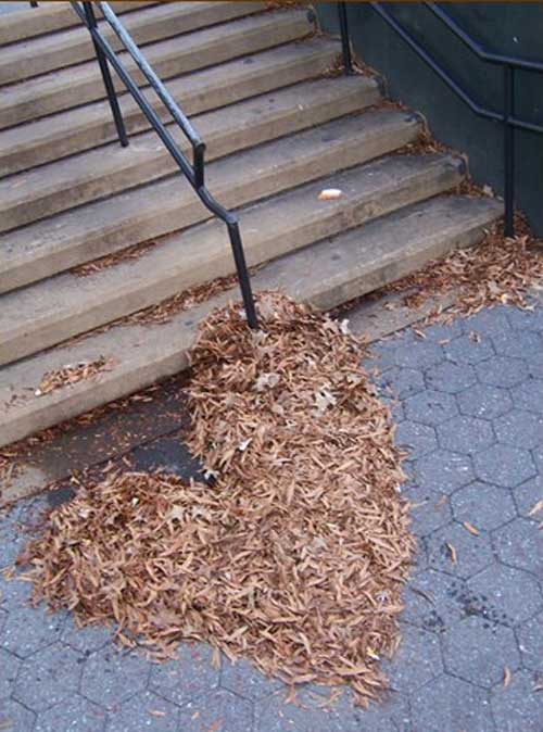 اس ام اس زمستونی