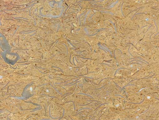 اطلس سنگهای تزئینی معادن ایران(عکس)»»»خوراک فروشندگان سنگ