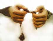 انواع ذكر و بهترين آنها!!