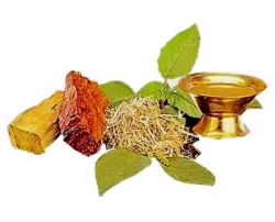 افسنتين(گیاه داروویی)