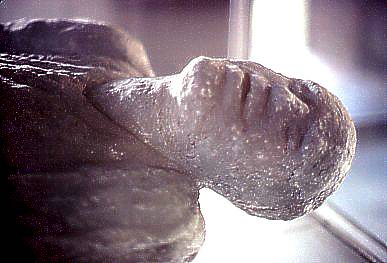 عکسهای تکان دهنده از مردم سنگ شدۀ شهر پمپئی ایتالیا عکسهای تکان دهنده از مردم سنگ شدۀ شهر پمپئی ایتالیا