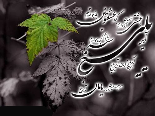 تصاویر عاشقانه