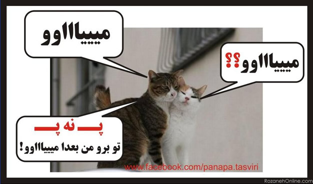 پَ نه پَ متنی + تصویری پَ نه پَ متنی + تصویری