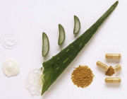 الوئه ورا گیاه در مانگر... الوئه ورا گیاه در مانگر...