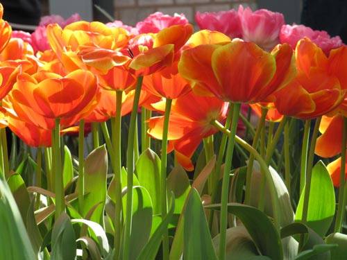 جهت غم باد نکردن بعضیا