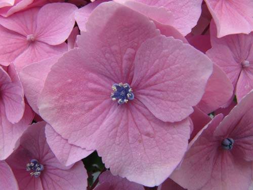 جهت غم باد نکردن بعضیا