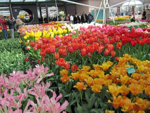 جهت غم باد نکردن بعضیا