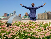 بهبود روحیه با تماشای گل ها بهبود روحیه با تماشای گل ها