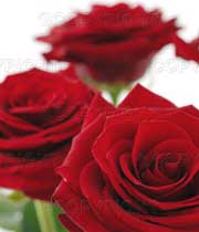 عطر درمانی چیست؟