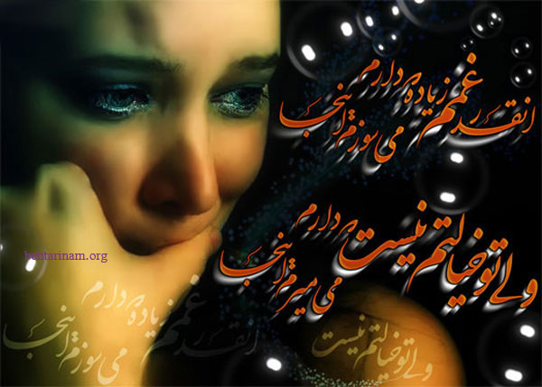 داستان عاشقانه ی عاشــــــق میمـــــــــونم