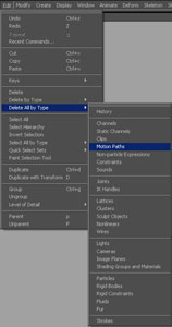 گزینهDuplicate input graph