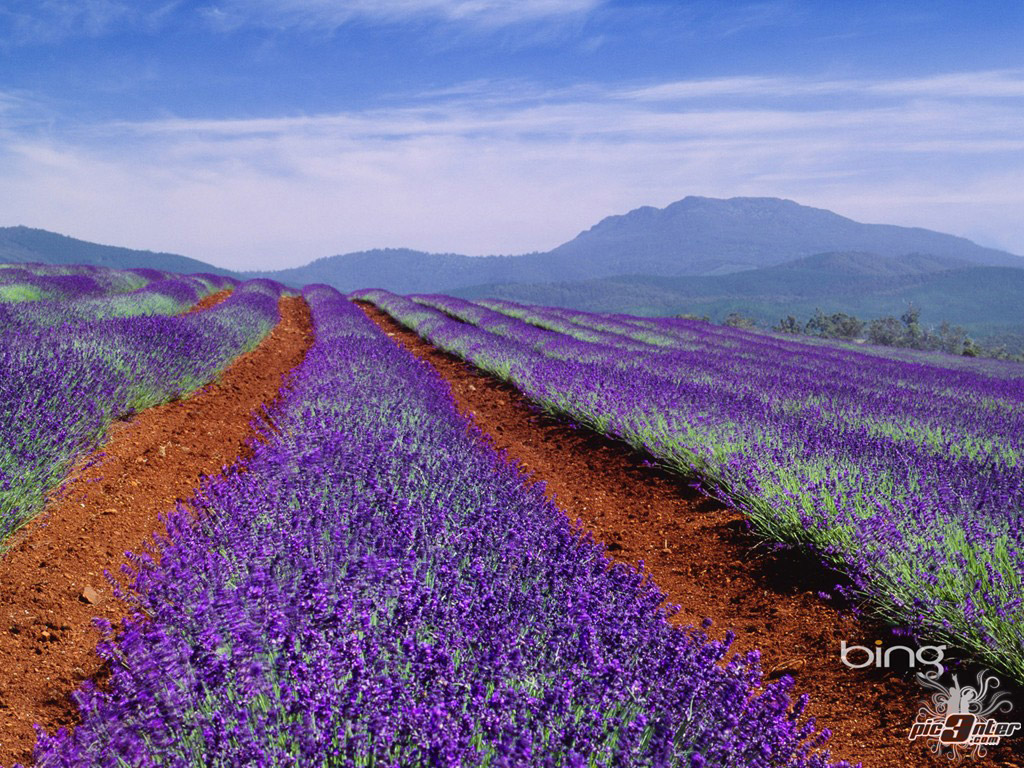 عکس از کشور استرالیا (Australia)