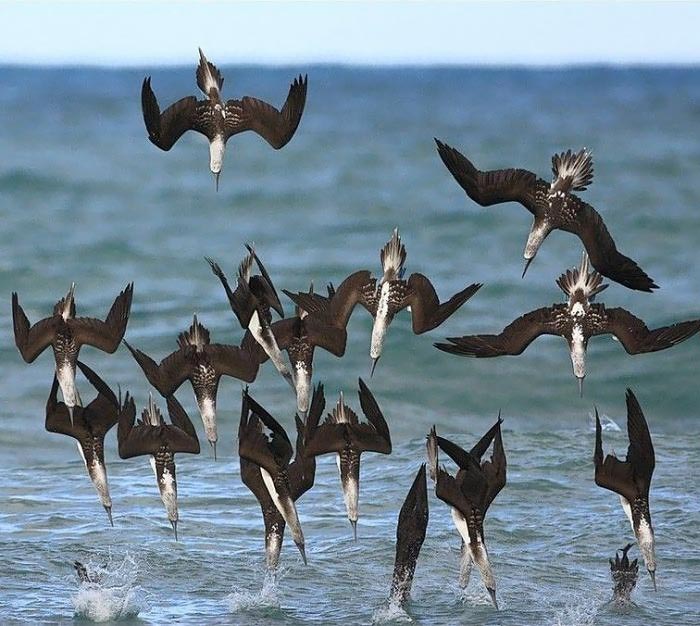 احساساتتو با یه عکس نشون بده!!