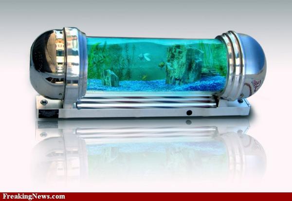 عجیب ترین و جالبترین آکواریوم ها