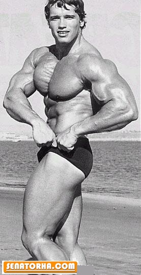 گالری اختصاصی عکسهای آرنولد شوارتزنگر