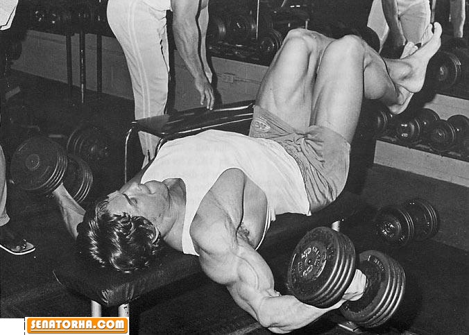 گالری اختصاصی عکسهای آرنولد شوارتزنگر