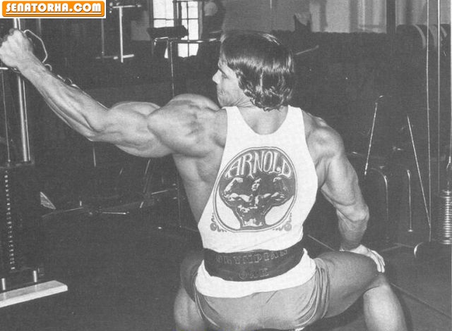 گالری اختصاصی عکسهای آرنولد شوارتزنگر