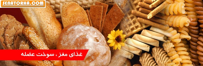 غذای مغز ، سوخت عضله