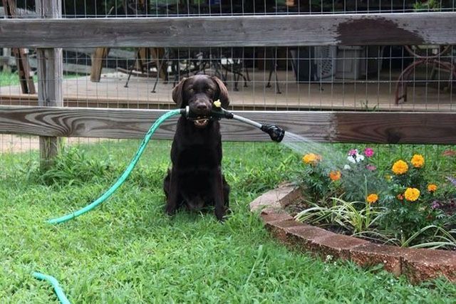 !*این عکس ها را حتما ببینید*!!